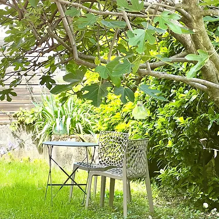 Chambre Au Calme L Jardin I Tram L Grenoble Nord St Egreve Saint-Egreve Extérieur photo